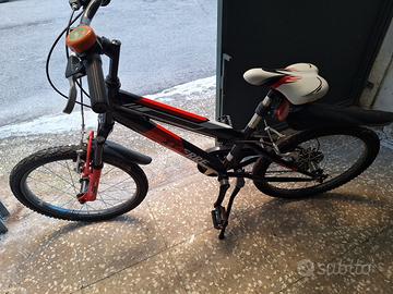 Bici ragazzo 20"