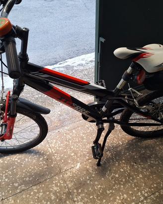 Bici ragazzo 20"