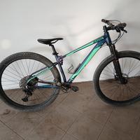 bici brera alien