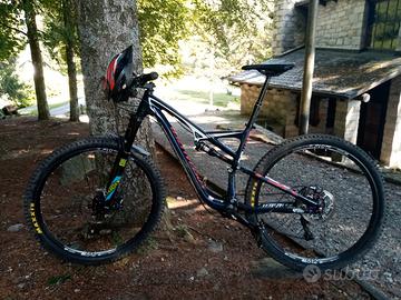 Specialized Camber 29