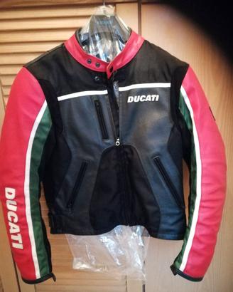 Giubbino Ducati