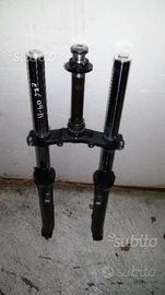 Forcella kawasaki er6n 2009 2010 2011