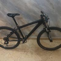 Bicicletta in carbonio