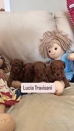 Barboncini super Red mini toy