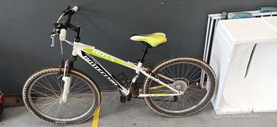 Mountain bike bottecchia "24