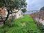 Immagine 23
