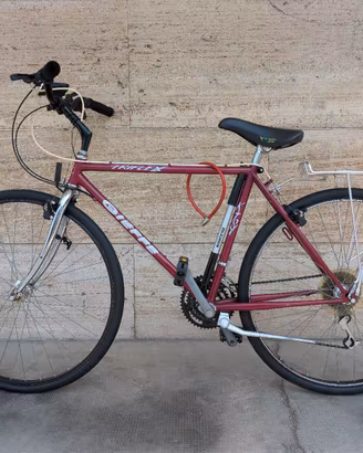 Bicicletta Gieffe Triflex 