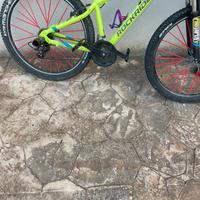 Bici rokrider modificata