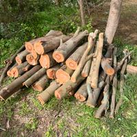 legna di eucalipto e acacia varie pezzature