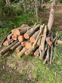 legna di eucalipto e acacia varie pezzature
