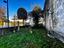 Immagine 23