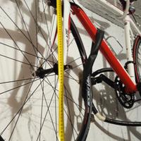 Bici Shockblaze ultralight