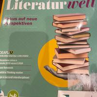 Literaturwelt