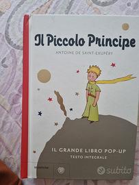 Il piccolo Principe 
