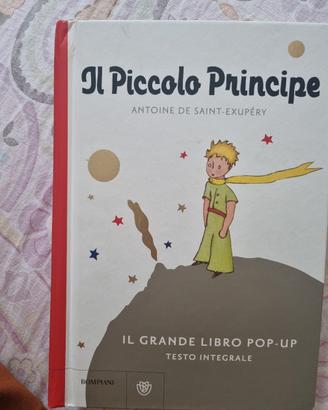 Il piccolo Principe 