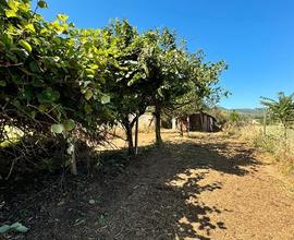 San cesareo terreno agricolo 2000mq -monte di casa