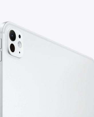 iPad Pro 13" 256Gb Argento - Usato
