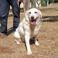 Olga, socievole e solare aspetta la sua famiglia