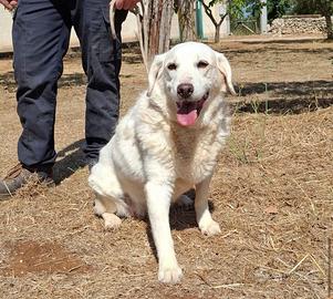 Olga, socievole e solare aspetta la sua famiglia