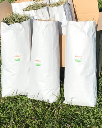 Fieno per conigli nani