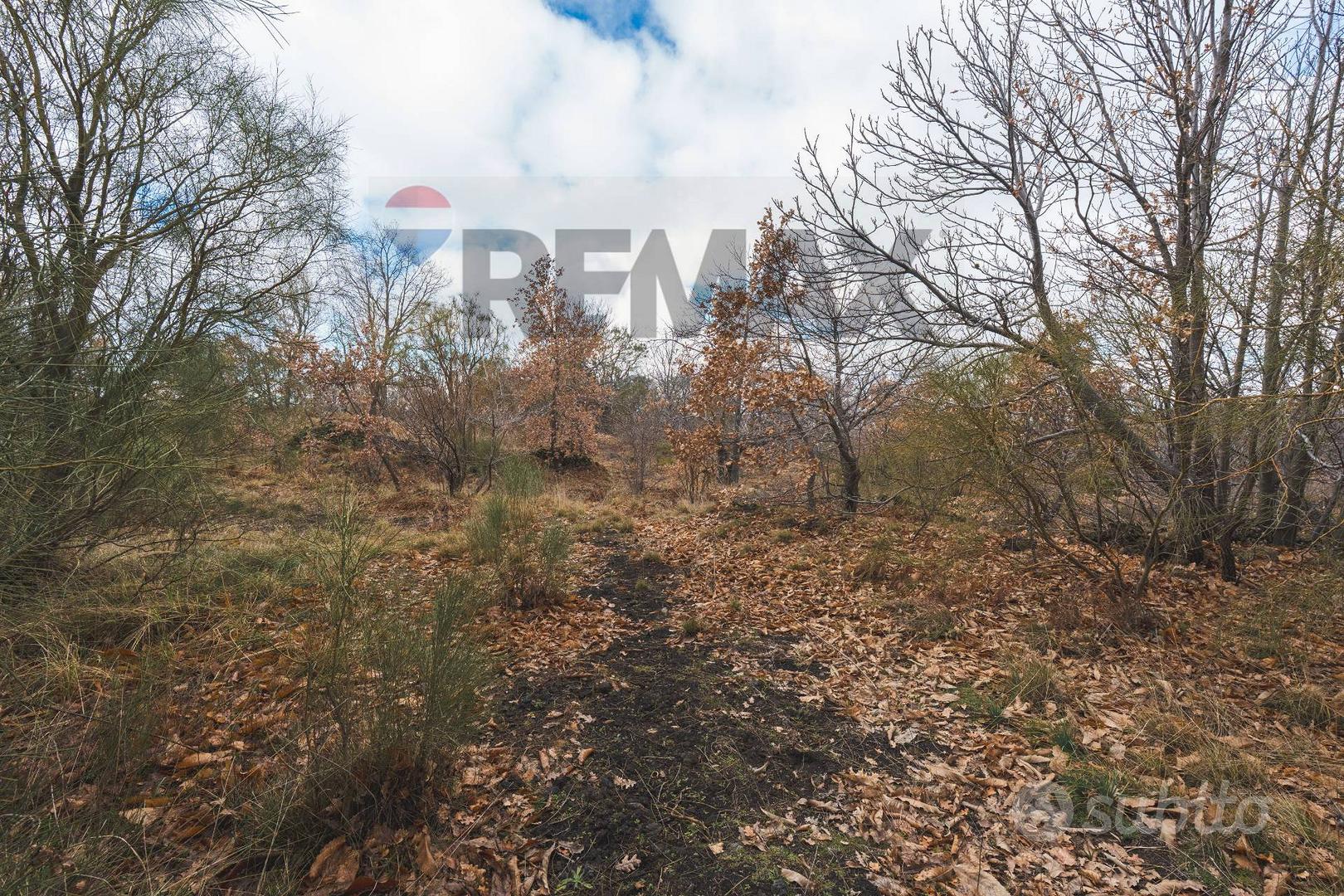 Terreno - Biancavilla - Vista 5