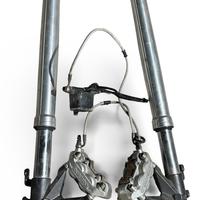 Forcella e Pinze Ducati Monster 696