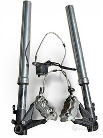 Forcella e Pinze Ducati Monster 696