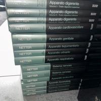 Netter-anatomia del corpo umano