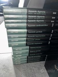 Netter-anatomia del corpo umano