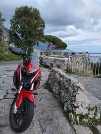 Benelli TRK 251 Targa Polacca 