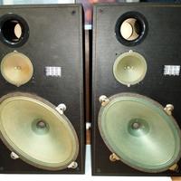 Casse con altoparlanti GREEN CONE - SABA