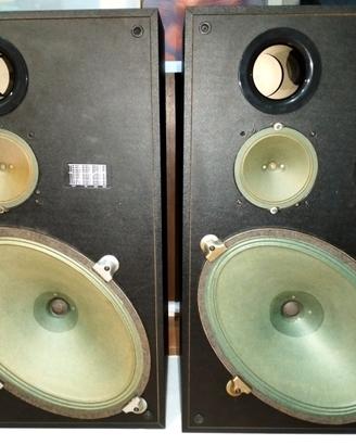 Casse con altoparlanti GREEN CONE - SABA