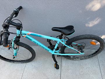 Mountain bike