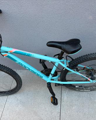 Mountain bike