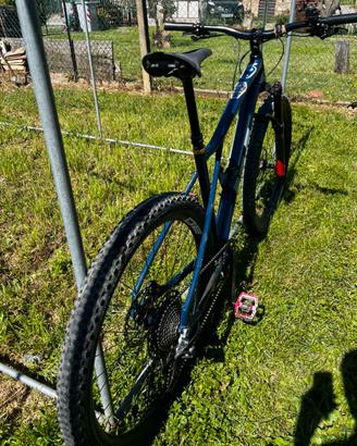 Mtb gt avalache lt custom