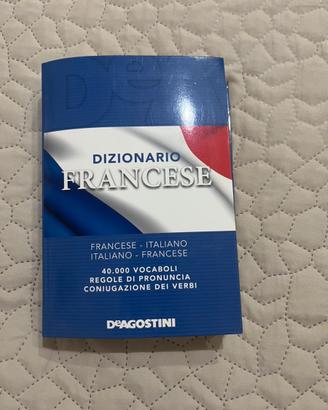 Dizionario francese