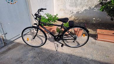 Bicicletta da uomo