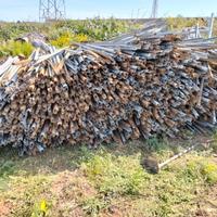 Pali per vigneto o recinzione di animali