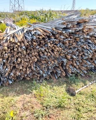 Pali per vigneto o recinzione di animali