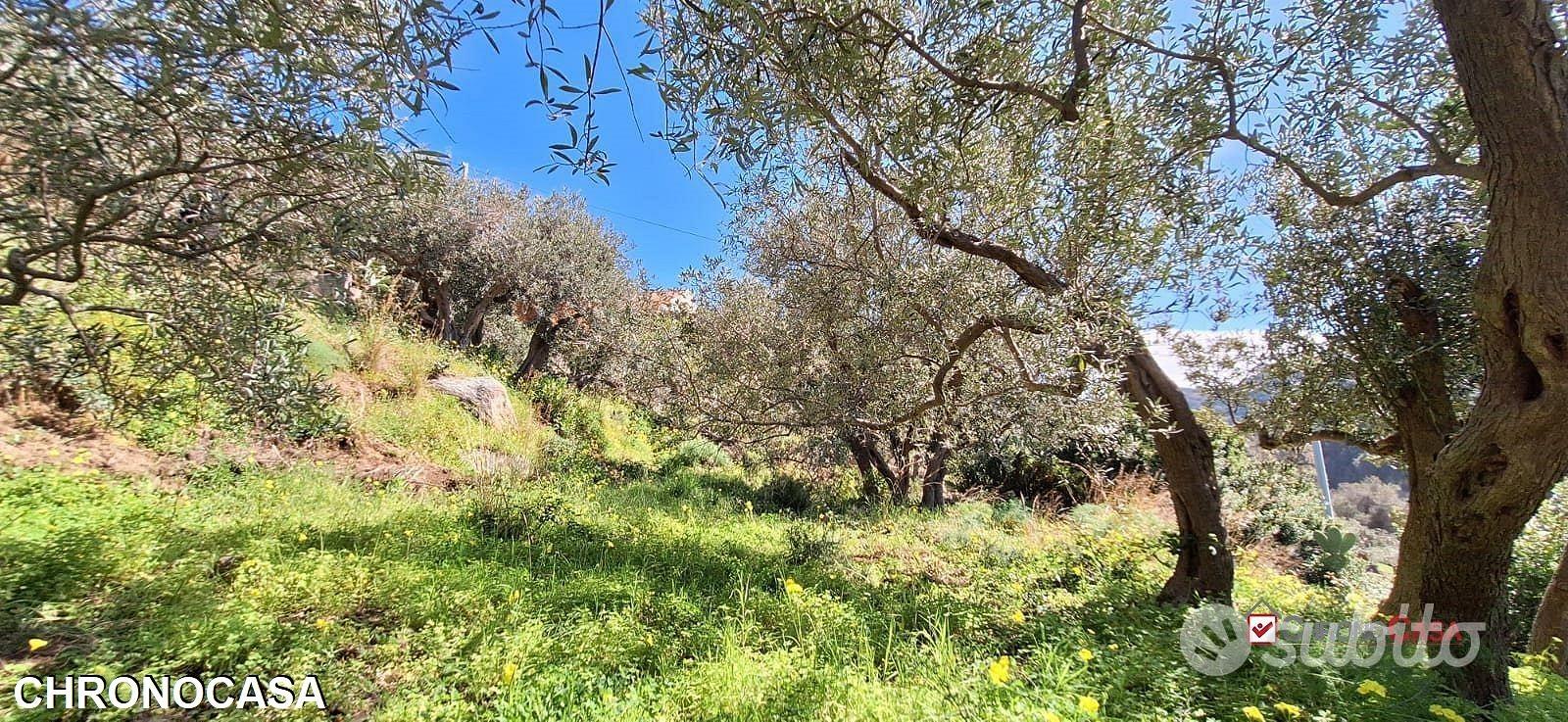 Rodia, terreno agricolo di circa 1000 mq - Vista 4