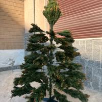 Albero di Natale alto 1.80 nuovo!