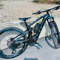 Bicicletta elettrica