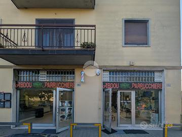 ATTIVITÀ A MONTICHIARI