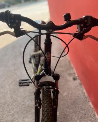 Bicicletta Bianchi per ragazzi