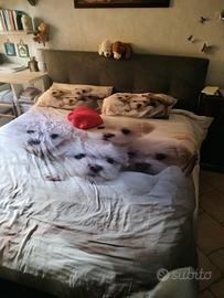 letto matrimoniale cassettone