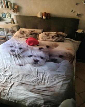 letto matrimoniale cassettone