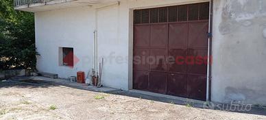 Capannone Industriale Frosinone