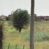 Terreno a Mogliano Veneto (TV)