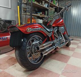 SPRINGER CVO. 110. Permuto 
