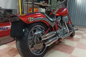 SPRINGER CVO. 110. Permuto 